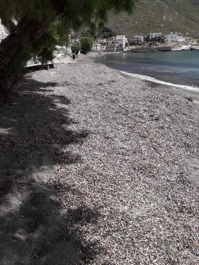 Kalymnos Beach House Panormos  Bagian luar foto